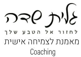 גלית שדה Logo